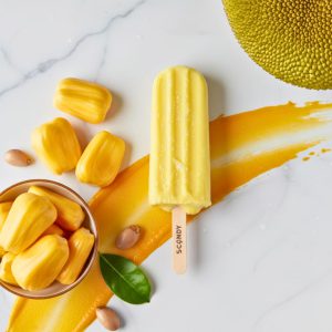 Scandy Products – Scandy Ice Candy